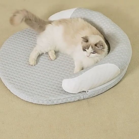 Tapis Fraicheur Chat | Mousse de Fraîcheur Féline