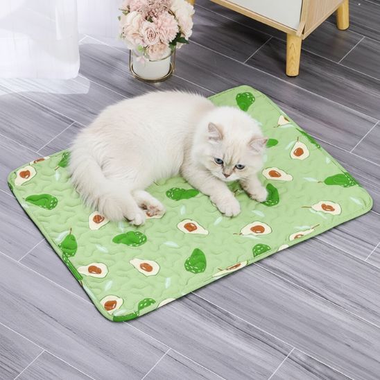 Tapis fraicheur chat  |  Éden Frais