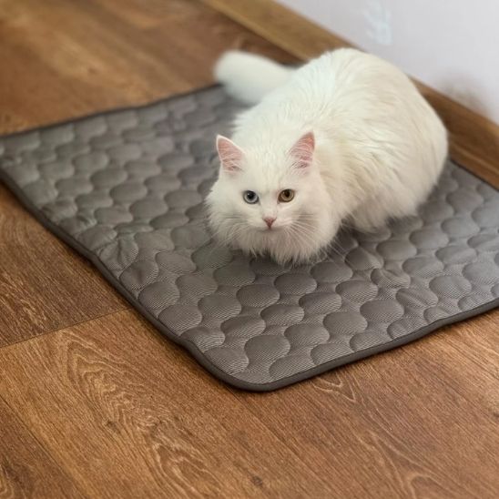 Tapis frais pour chat | Repos Fraicheur