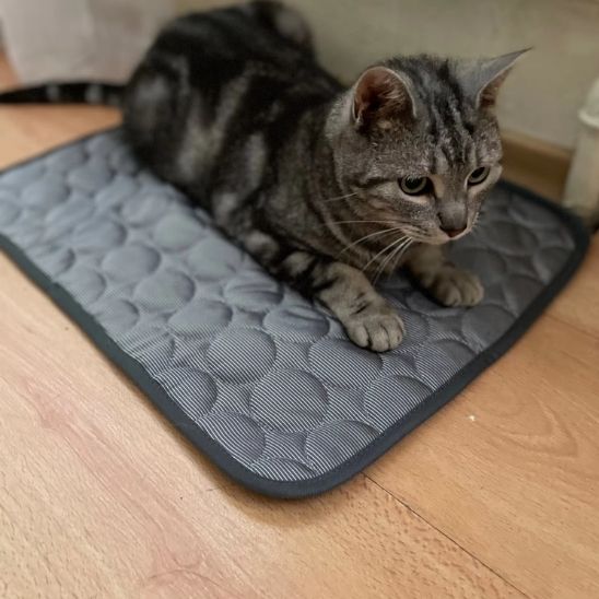 Tapis frais pour chat | Repos Fraicheur