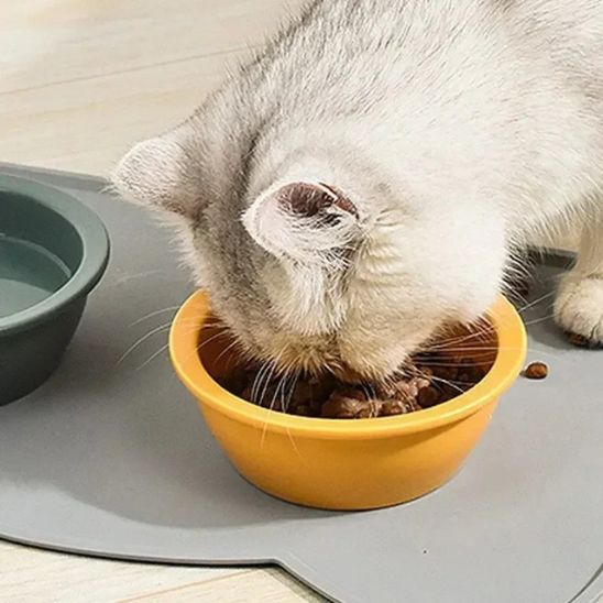 Tapis Gamelle Chat | Repas Zéro Tracas