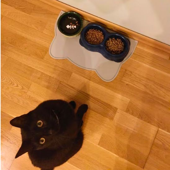 Tapis Gamelle Chat | Repas Zéro Tracas