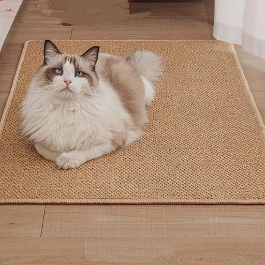 Tapis griffoir pour chat | Bien-être des Pattes