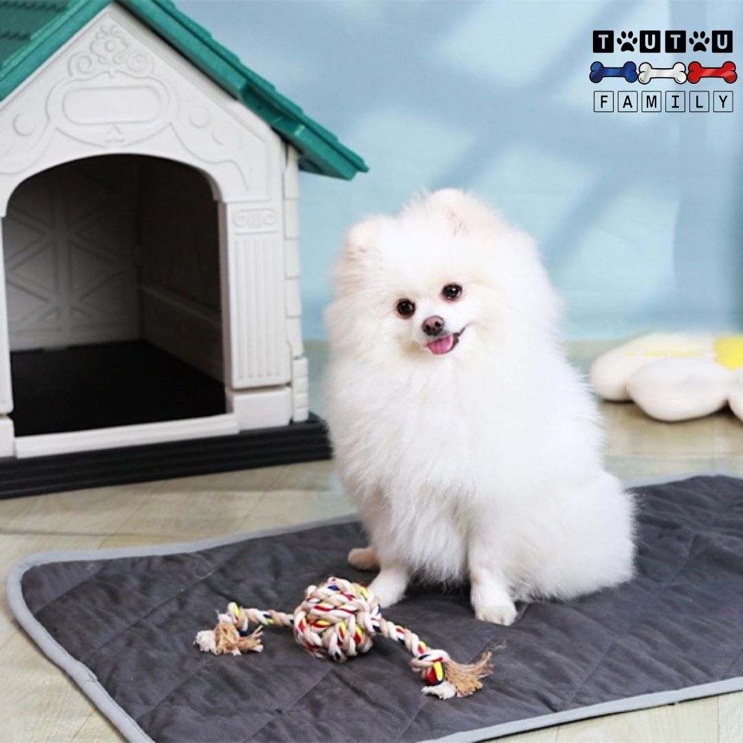 Tapis pour chien - ChauffantToutou™