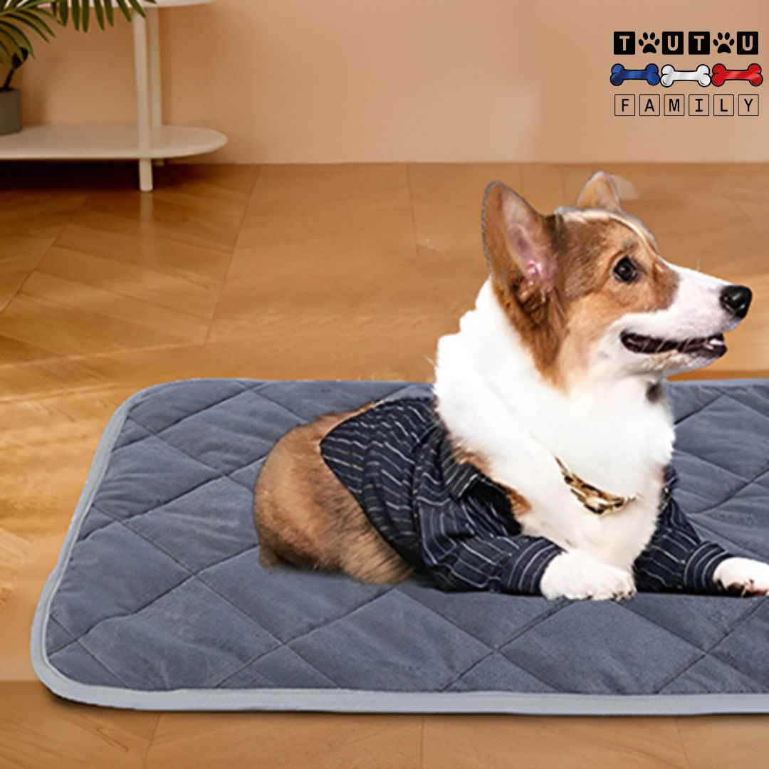 Tapis-pour-chien-auto-chauffant-résistant-coussin-chien-auto-chauffant-sans-électricité-disponible-de-la-plus-petite-à-la-grande-taille-un-chien-de-taille-moyenne-couché-sur-son-tapis-rembourré-en-coton-sur-le-sol-du-salon