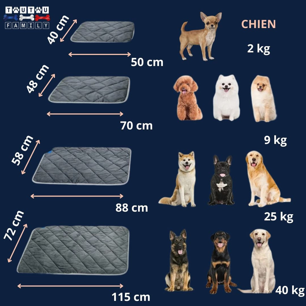 Tapis pour chien - ChauffantToutou™