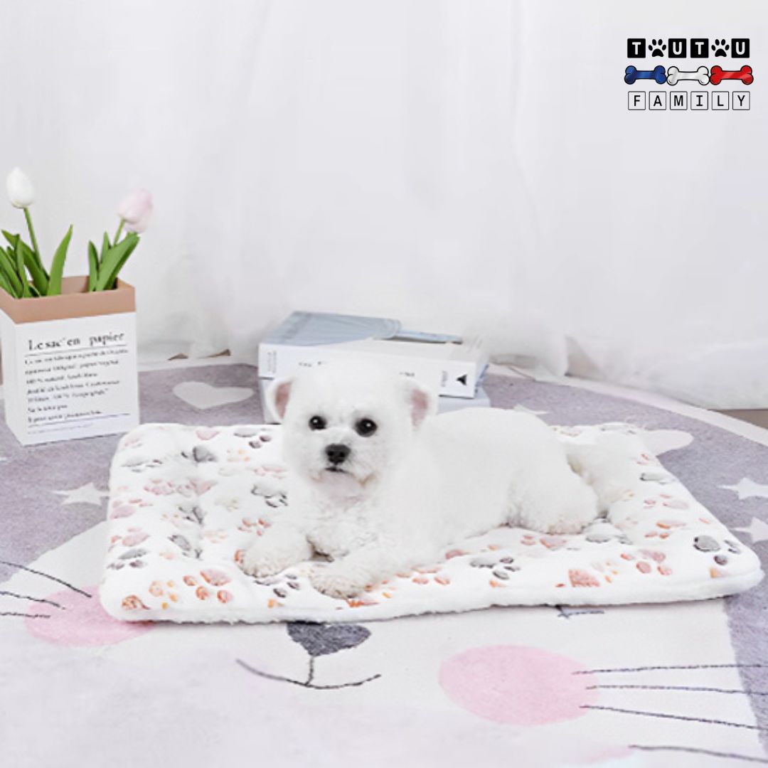 Tapis pour chien - CoucheToutou™