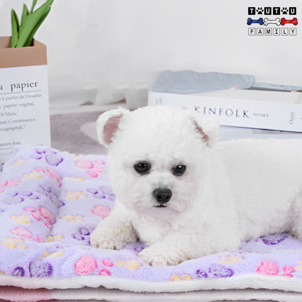 Tapis pour chien - CoucheToutou™