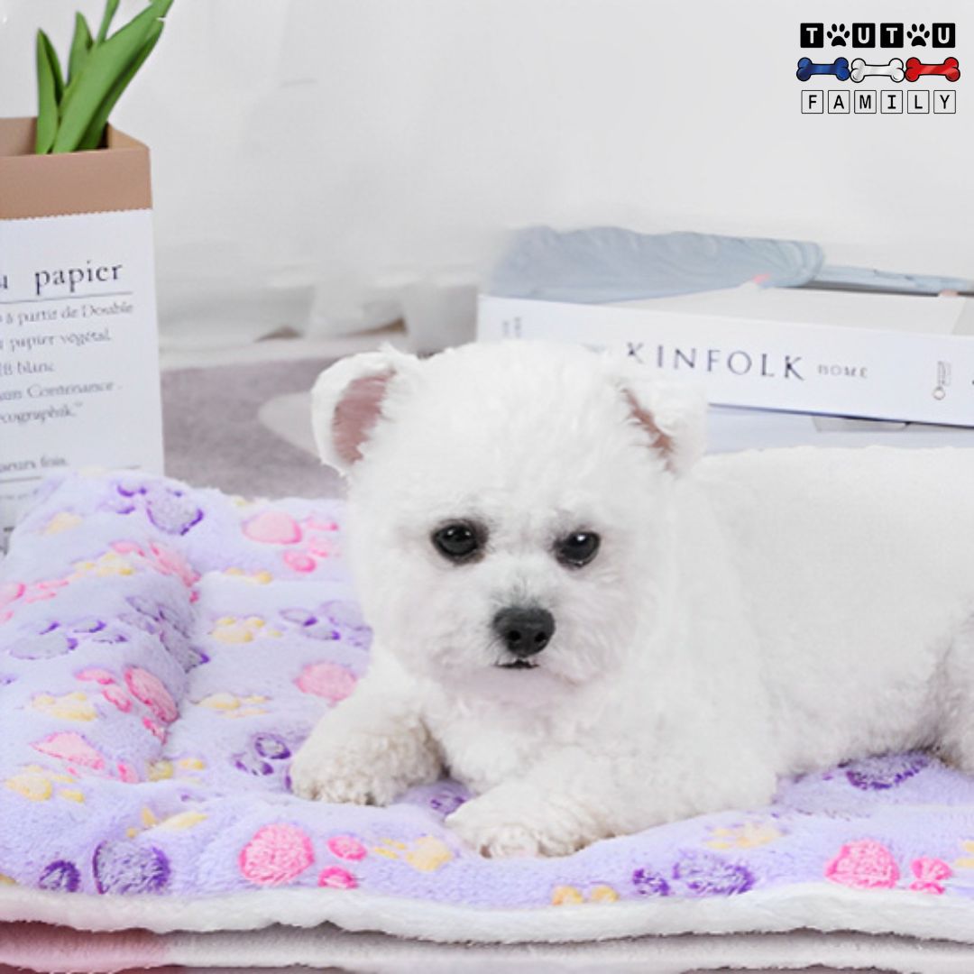Tapis pour chien - CoucheToutou™