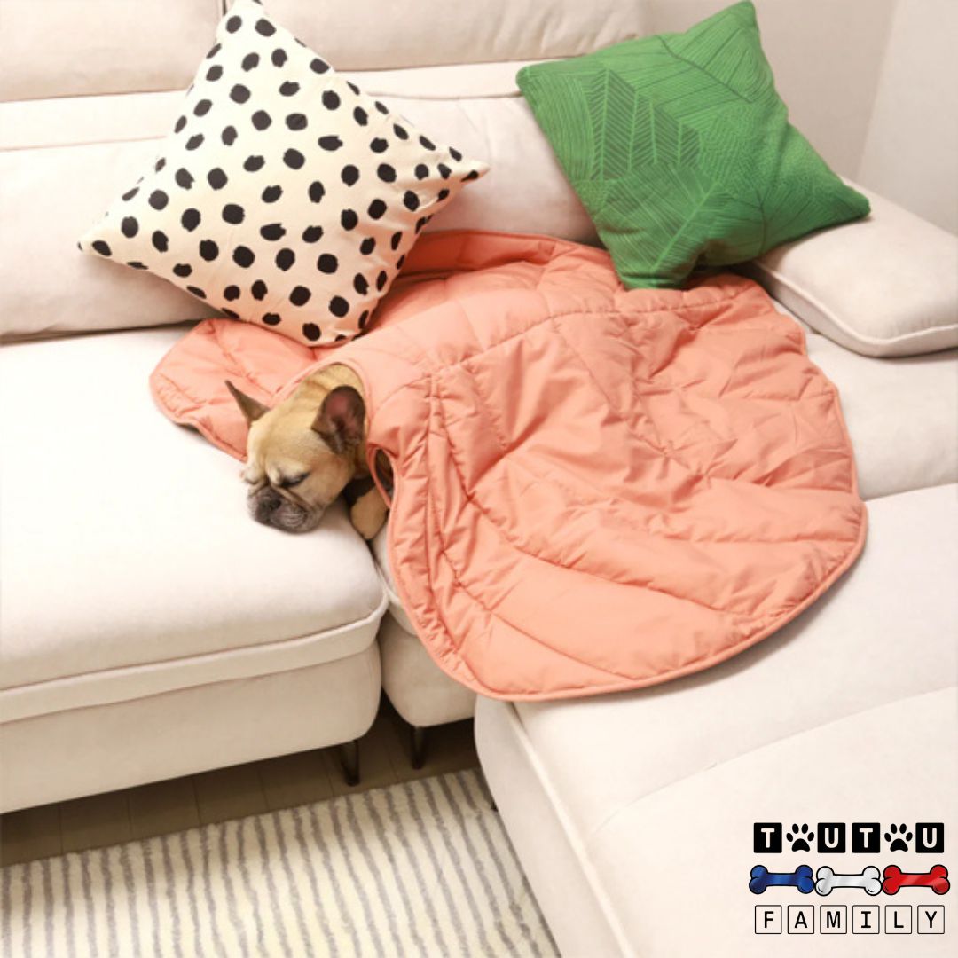 Tapis pour chien - NaturelToutou™