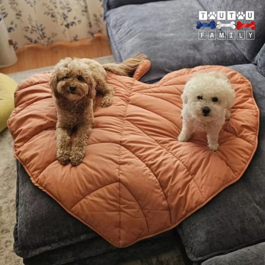 Tapis pour chien - NaturelToutou™