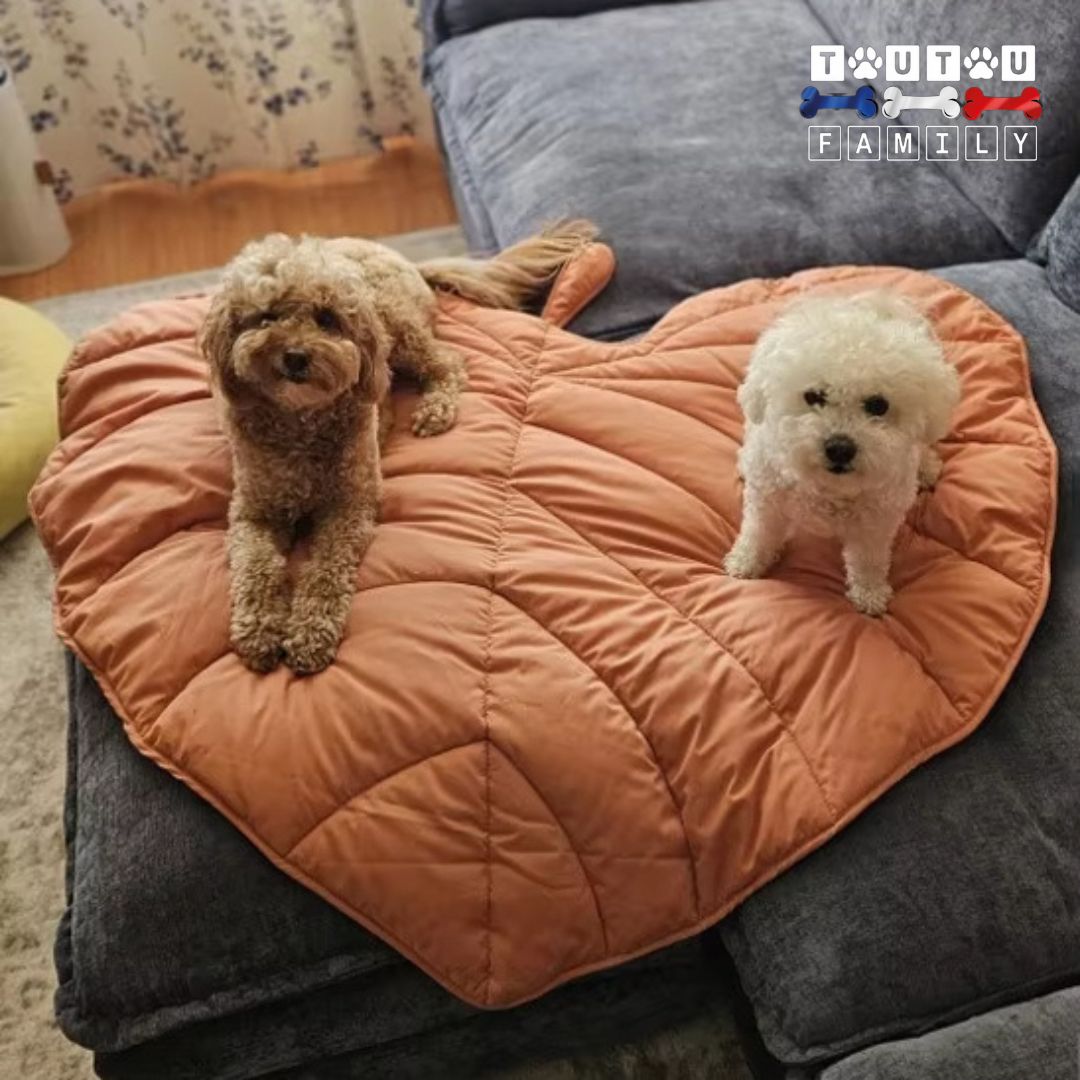 Tapis pour chien - NaturelToutou™