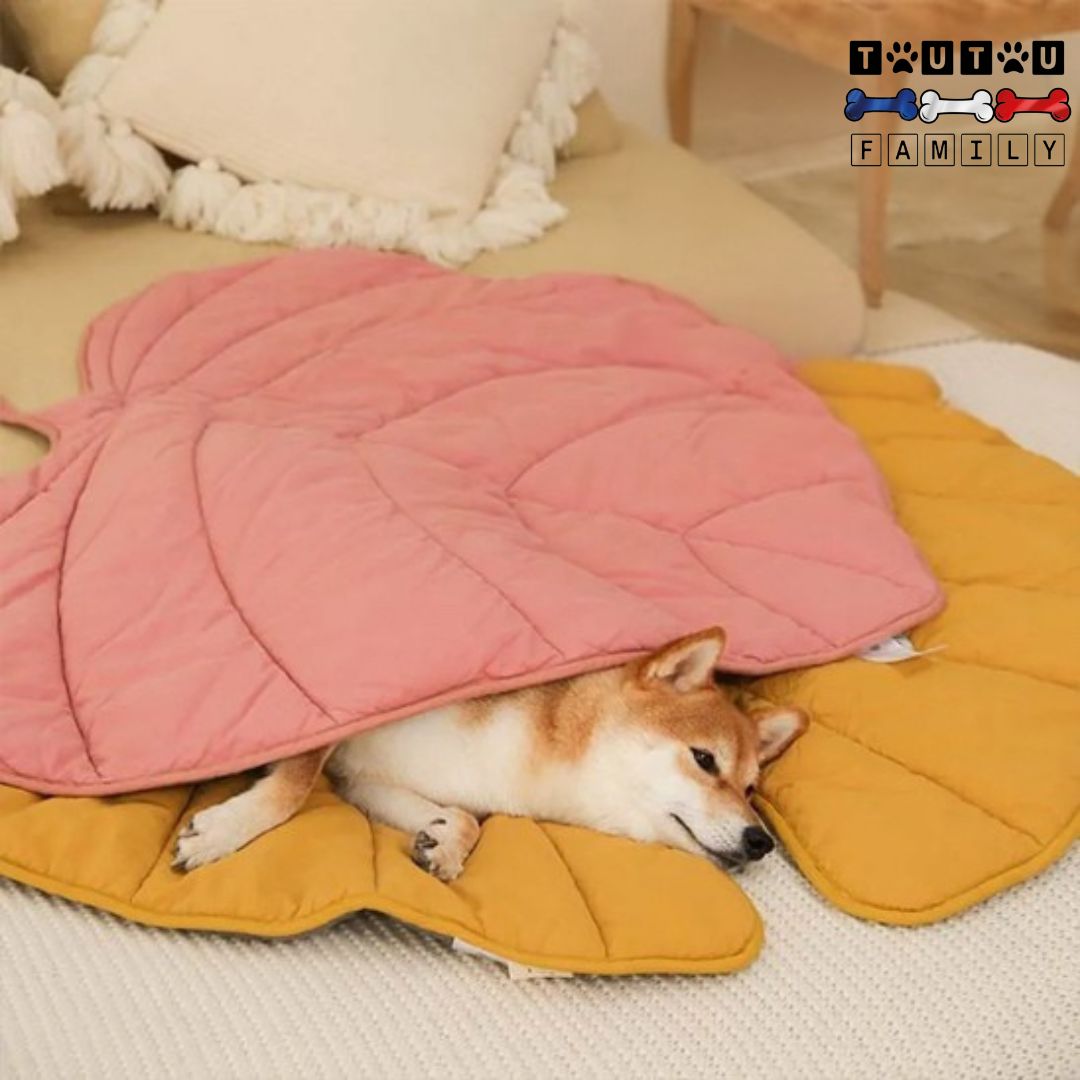 Tapis pour chien - NaturelToutou™