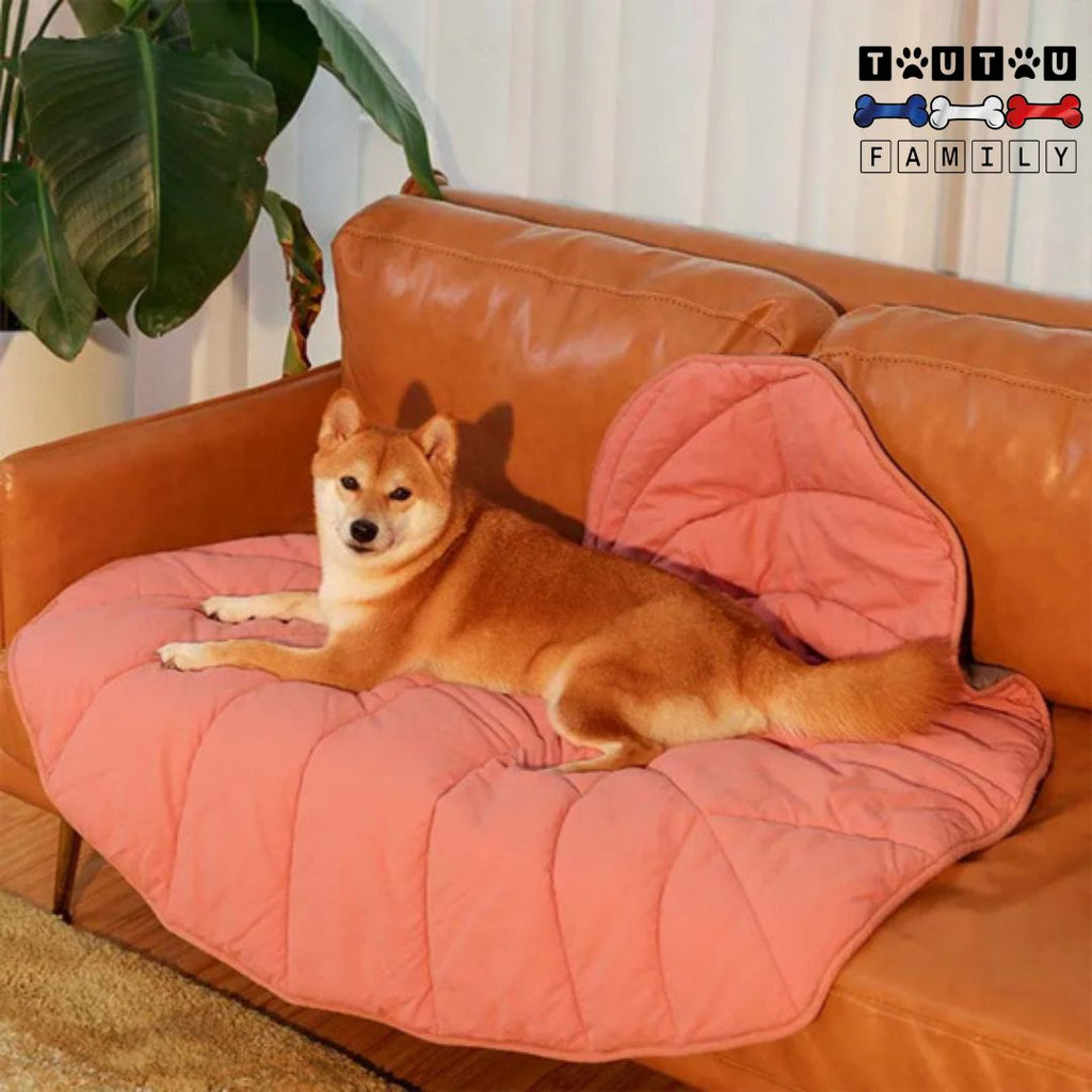 Tapis pour chien - NaturelToutou™