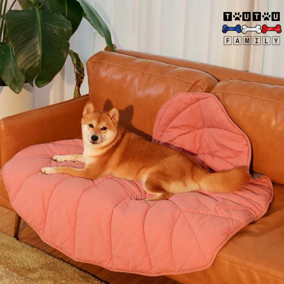 Tapis pour chien - NaturelToutou™