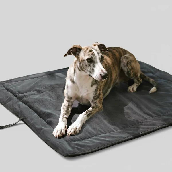 Tapis D'Extérieur Portable Pour Chien