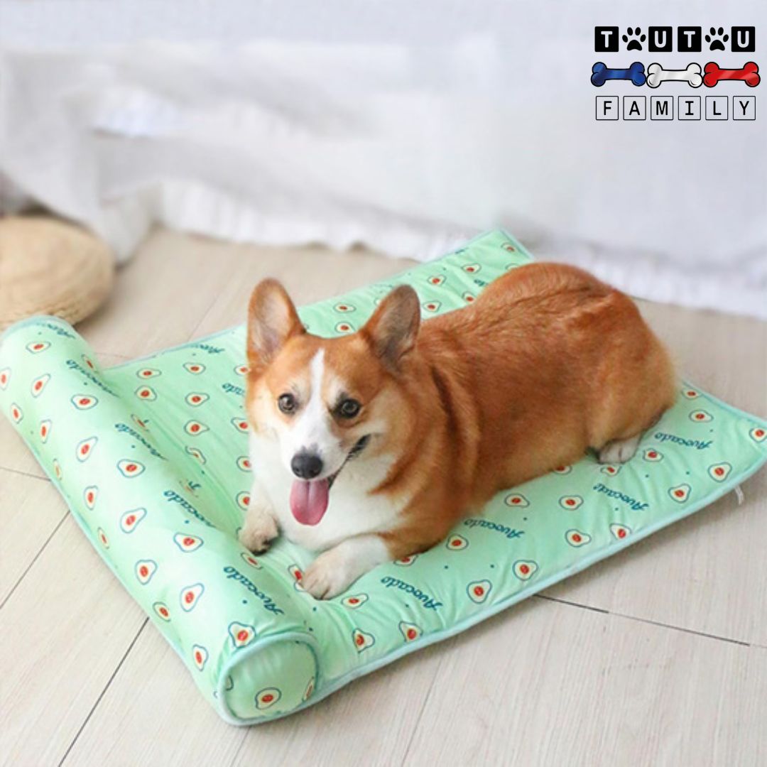 Tapis pour chien rafraichissant - RafraichitToutou™