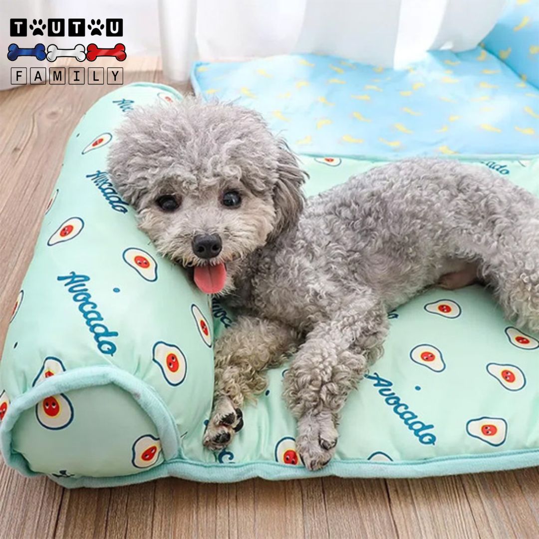 Tapis pour chien rafraichissant - RafraichitToutou™