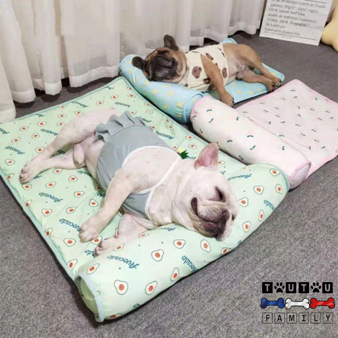 Tapis pour chien rafraichissant - RafraichitToutou™