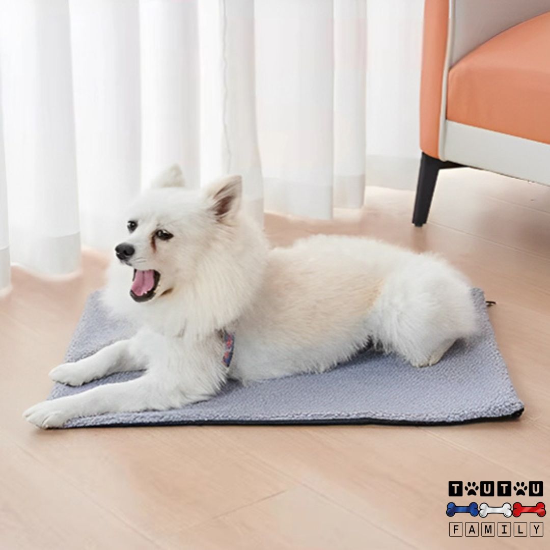 Tapis pour chien - RéguleToutou™
