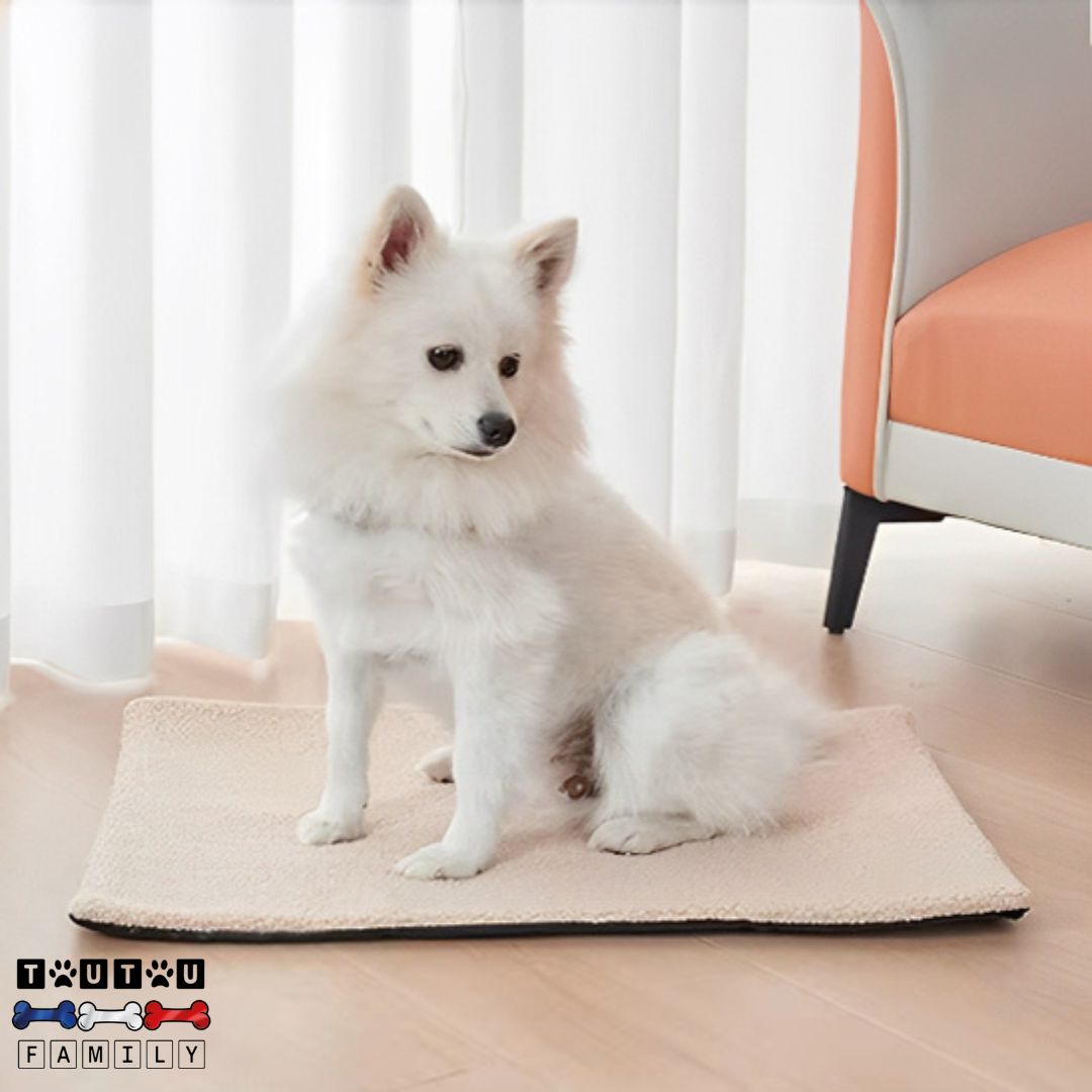 Tapis pour chien - RéguleToutou™
