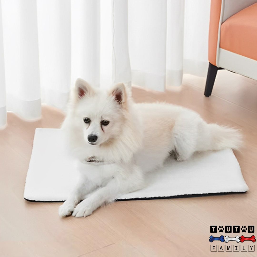 Tapis pour chien - RéguleToutou™