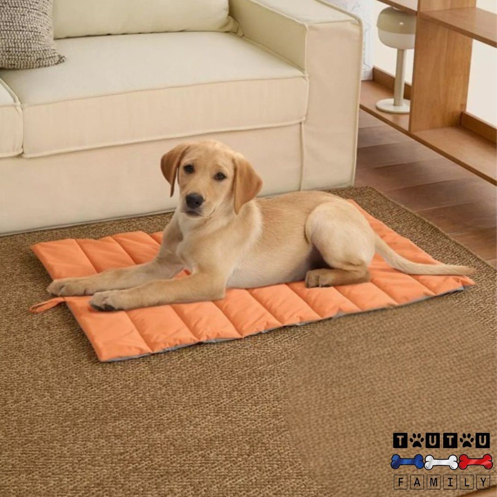 Tapis pour chien xxl - CouchageToutou ™