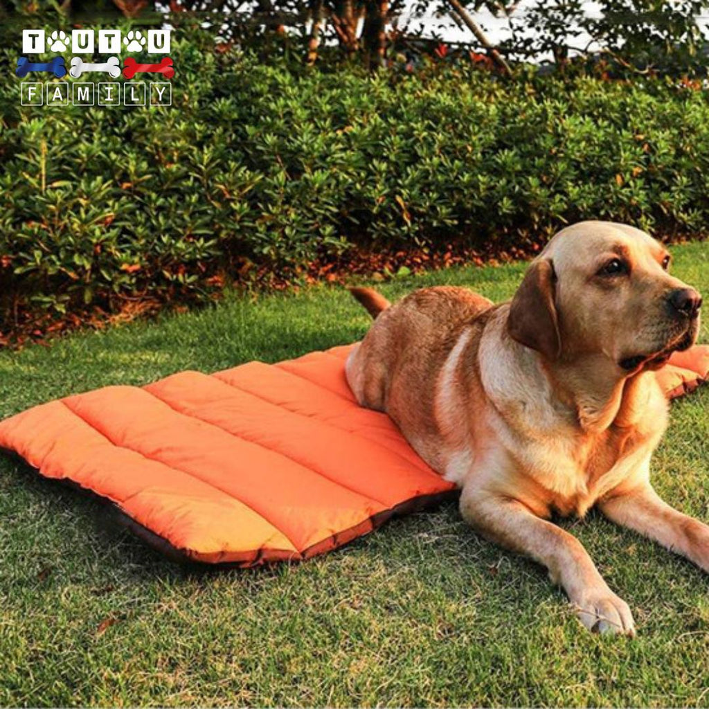 Tapis pour chien xxl - CouchageToutou ™