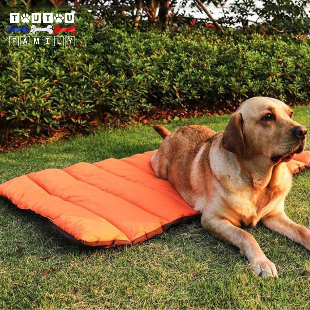 Tapis pour chien xxl - CouchageToutou ™