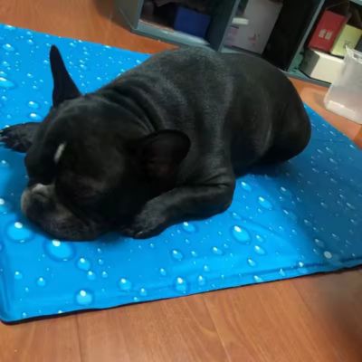 Tapis rafraichissant chien - FreshDogMat™