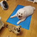 tapis-rafarichissant-chien-bleu-taille