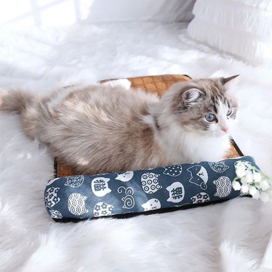 Tapis rafraichissant chat | Ronron Glacé