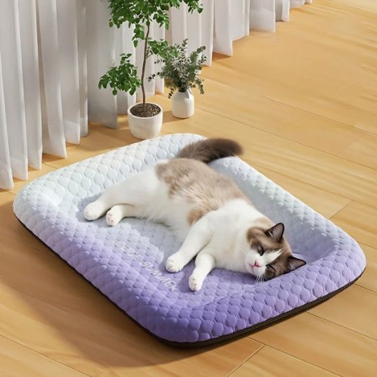 Tapis Rafraichissant Chat | Sublime Rafraîchissant