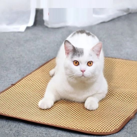 Tapis rafraichissant chat Rotin