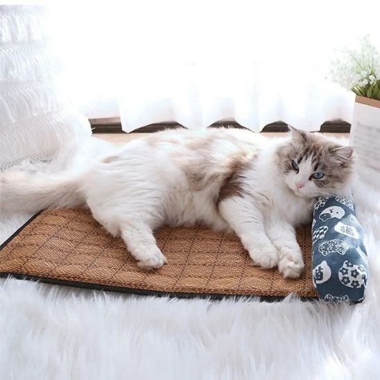 Tapis rafraichissant chat | Ronron Glacé