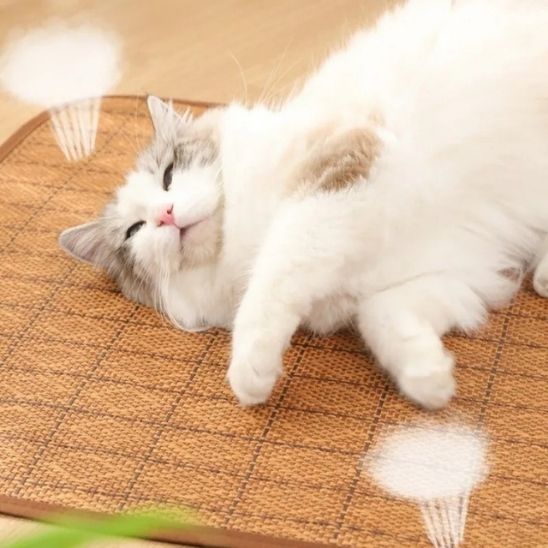 Tapis rafraichissant chat Rotin