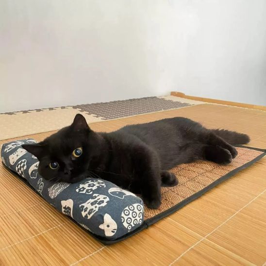 Tapis rafraichissant chat | Ronron Glacé