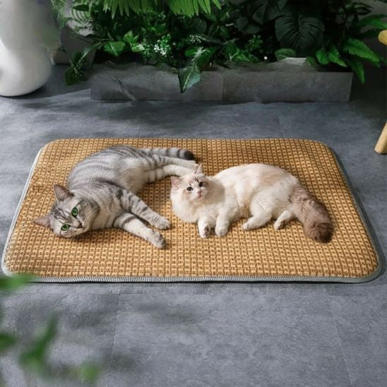 Tapis rafraichissant chat Rotin