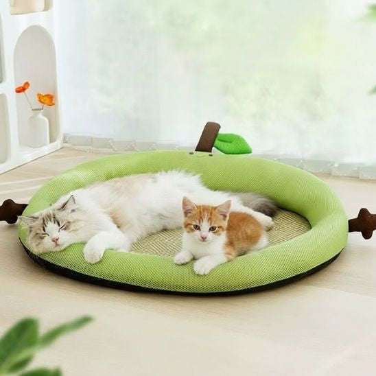 Tapis rafraîchissant chat | Confort Naturel