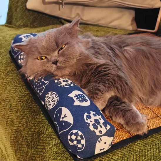 Tapis rafraichissant chat | Ronron Glacé