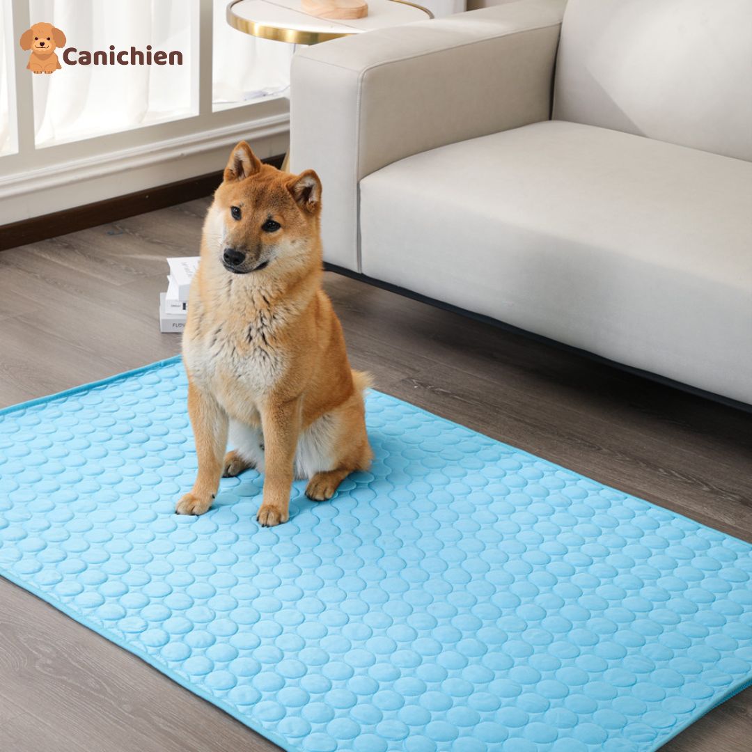 TAPIS RAFRAICHISSANT CHIEN | ArcticPad™