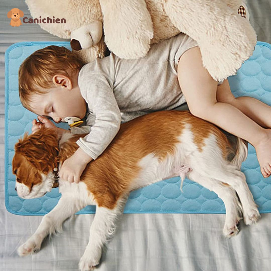 TAPIS RAFRAICHISSANT CHIEN | ArcticPad™