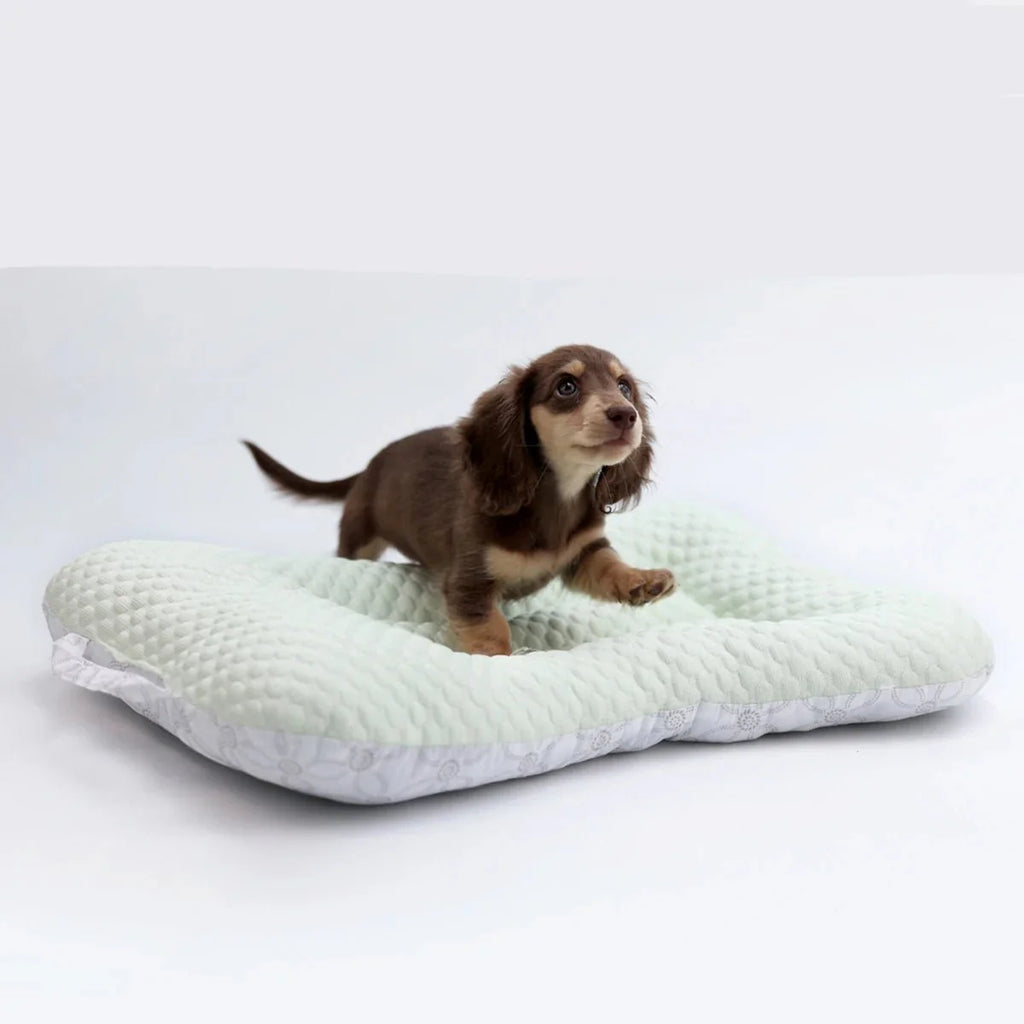 Tapis Rafraîchissant Pour Petit Chien Et Chat