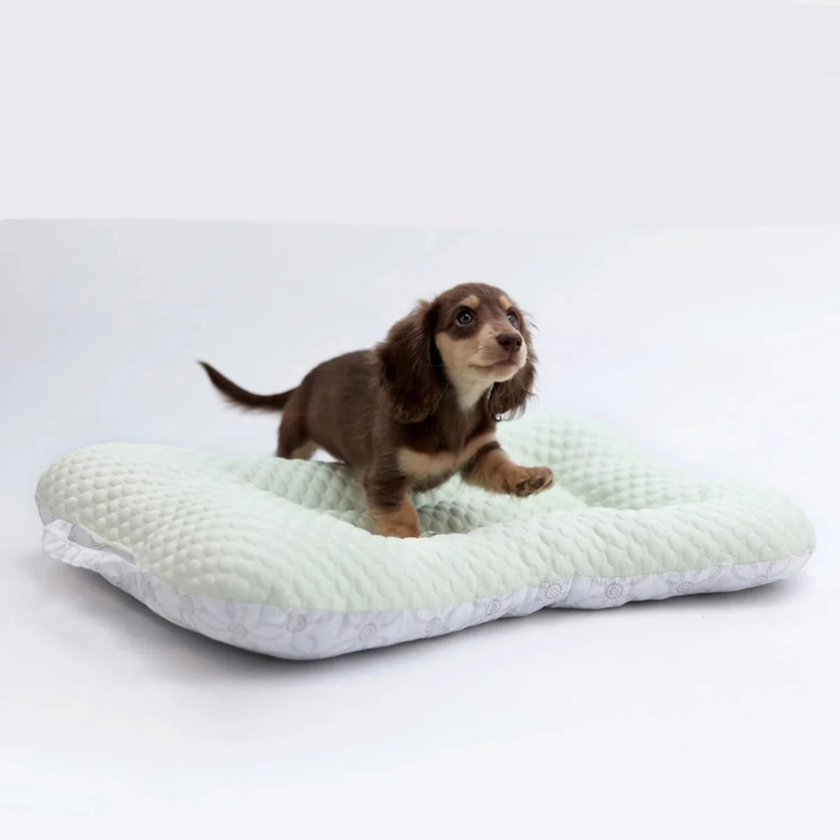 Tapis Rafraîchissant Pour Petit Chien Et Chat