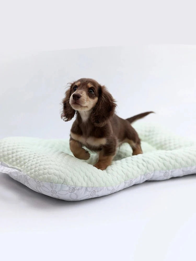 Tapis Rafraîchissant Pour Petit Chien Et Chat