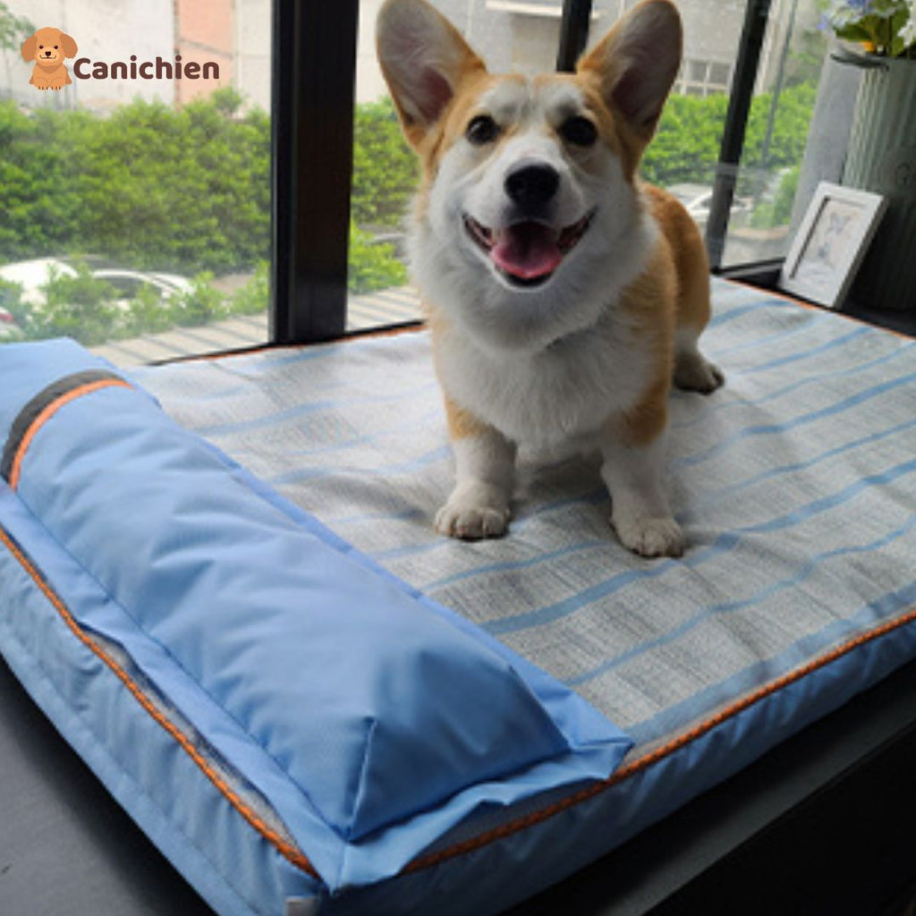 TAPIS RAFRAICHISSANT CHIEN | FrozeMat™