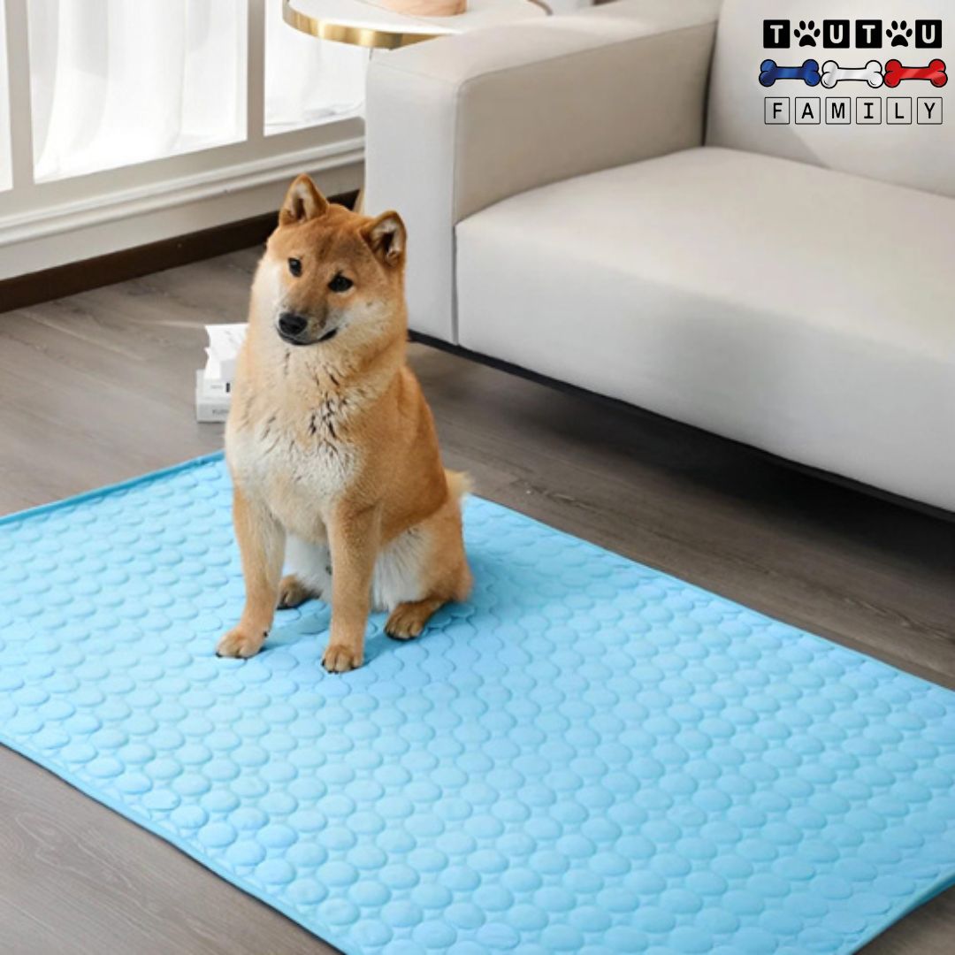 Tapis rafraichissant chien - FroidToutou™