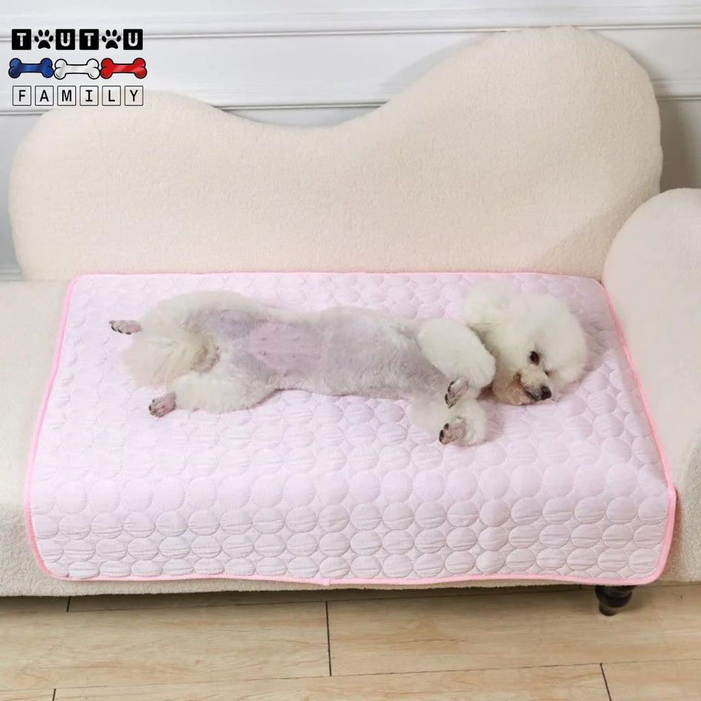 Tapis-rafraichissant-chien-rose-un-caniche-allongé-sur-le-flanc-se-rafraichissant-sur-son-tapis-pendant-l-été