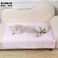 Tapis-rafraichissant-chien-rose-un-caniche-allongé-sur-le-flanc-se-rafraichissant-sur-son-tapis-pendant-l-été