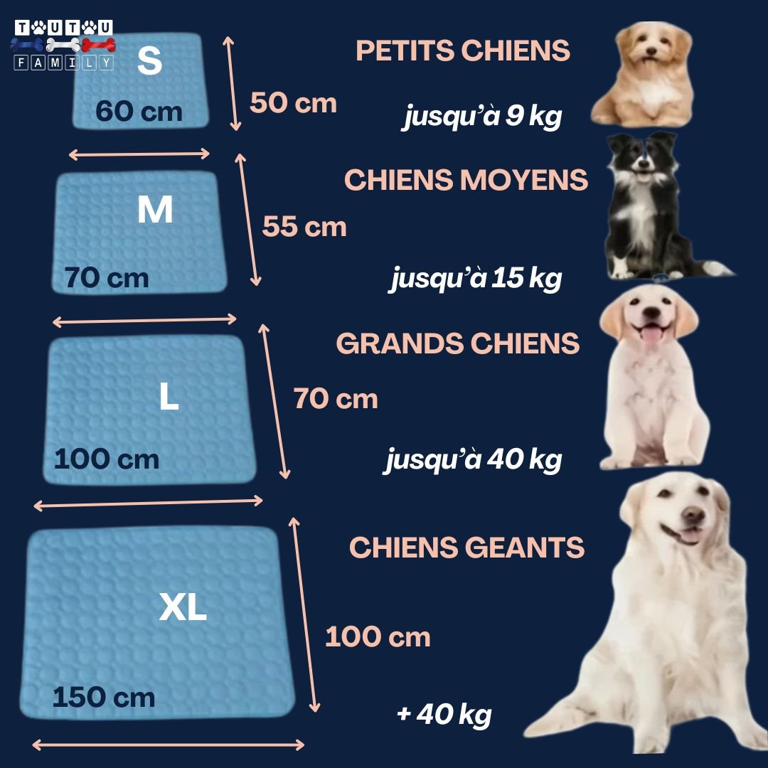 Tapis rafraichissant chien - FroidToutou™
